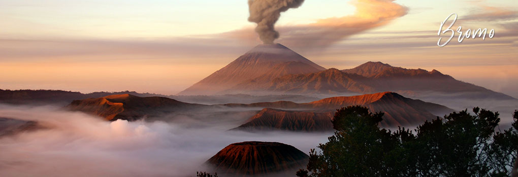 Bromo