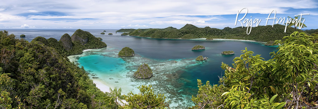 Dykresor Raja Ampat