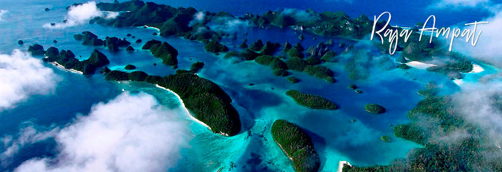 Dykresor Raja Ampat