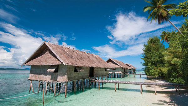 Superior Papuan Cottage