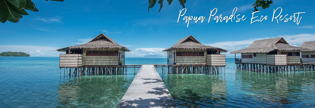 Papua Paradise Eco Resort