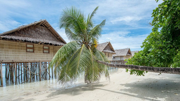 Papua Paradise Eco Resort