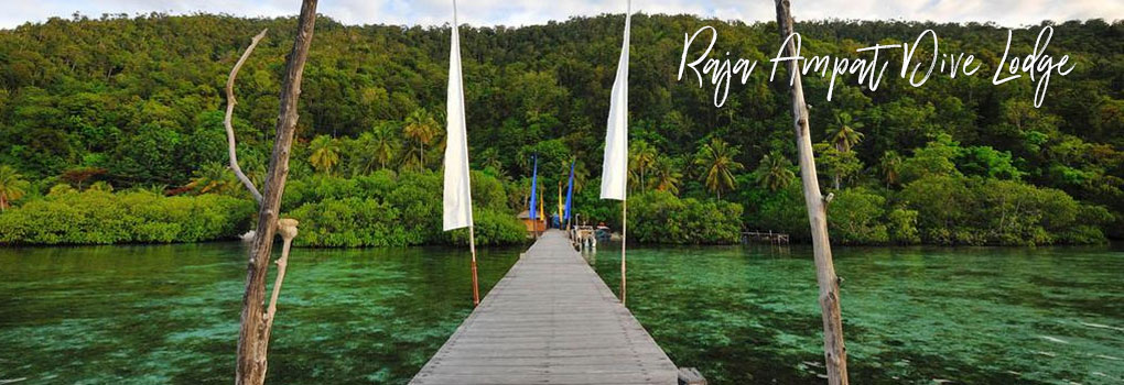 Raja Ampat Dive Lodge