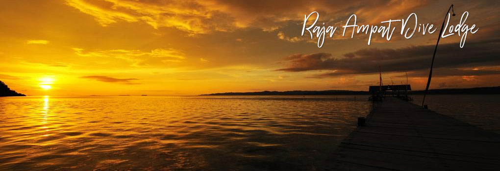 Raja Ampat Dive Lodge